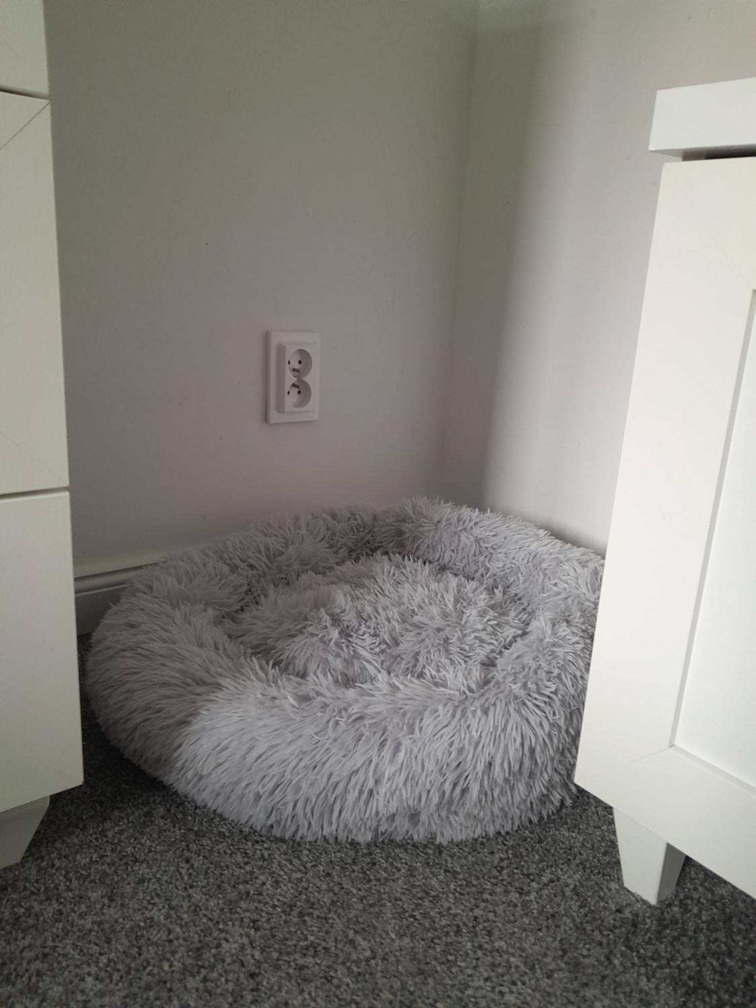 Apartament "Konie I Anioly" Богушув-Горце Экстерьер фото